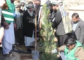 ننګرهار او هلمند کې د نیالګیو کېنولو ملي کمپاین پيل شوی دی