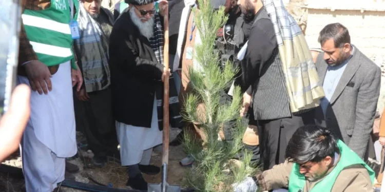 ننګرهار او هلمند کې د نیالګیو کېنولو ملي کمپاین پيل شوی دی