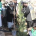 ننګرهار او هلمند کې د نیالګیو کېنولو ملي کمپاین پيل شوی دی