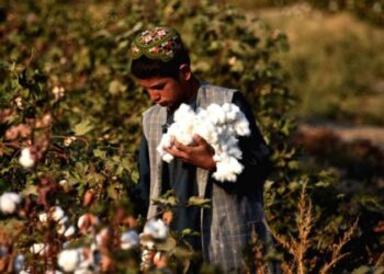 ایران د افغانستان کرنیزو محصولاتو پېرلو ته چمتووالی ښودلی