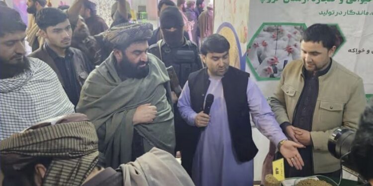 سوداګرۍ وزارت: کندز کې د کورنیو تولیداتو او محصولاتو نندارتون پرانیستل شوی