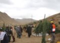 پکتیا کې د نیالګيو کینولو ملي کمپاین پیل شوی دی