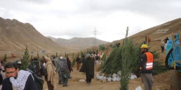 پکتیا کې د نیالګيو کینولو ملي کمپاین پیل شوی دی