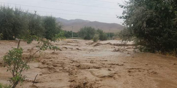 اوچا: د افغانستان په ځینو سیمو کې سېلابونو ځاني او مالي زیانونه اړولي