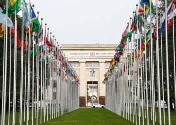 جنيوا کې د نړيوالې حکومتولۍ د ملګرو ګروپ رسماً جوړ شوی