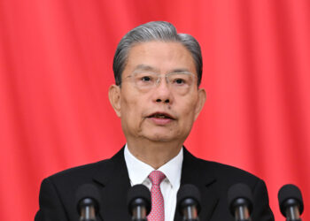 جاو له جي د چين ملي ولسي کانګرېس کلنۍ غونډې ته کاري راپور وړاندې کړ