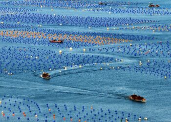 په ۲۰۲۵م کال کې د چين د سمندري توليد عمومي ارزښت ۱۱ ټريليونو يوانو ته رسېدلی