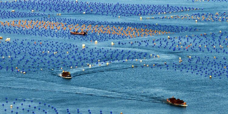 په ۲۰۲۵م کال کې د چين د سمندري توليد عمومي ارزښت ۱۱ ټريليونو يوانو ته رسېدلی