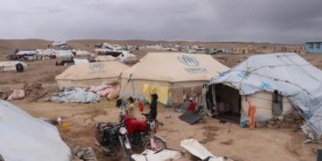 ای او ایم: د افغانستان په ختیځ کې د زلزله‌ځپلو کورنیو ملاتړ کوو