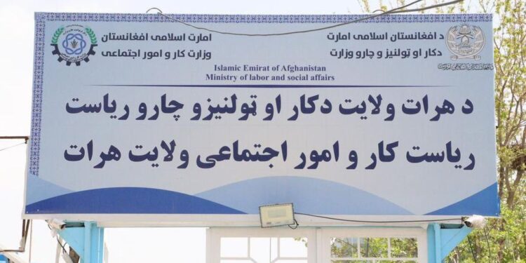 هرات؛ سلګونه کورنیو او ۹۷ بهرنیو وګړو ته د کار جوازونه وېشل شوي