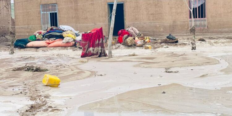 ای او ایم: هرات کې د سېلابونو له کبله شاوخوا ۸۰ کورنۍ زیانمنې شوې