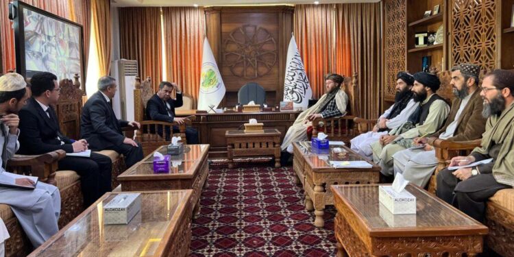 د کرنې وزير د ټاپي پروژې له رييس سره کتلي