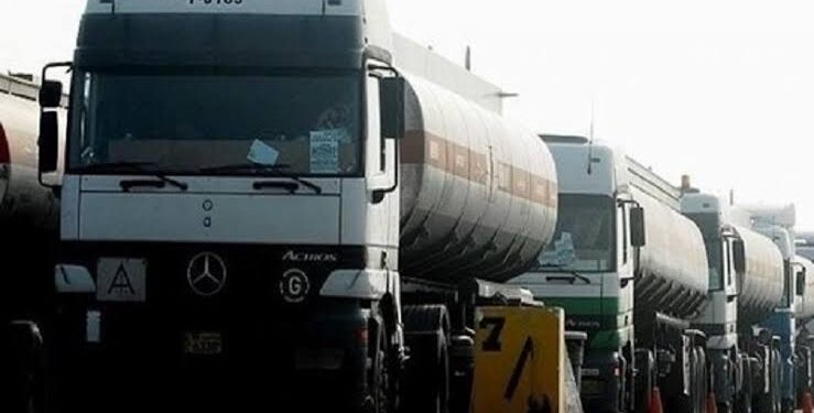 افغانستان ته د سون توکو په وارداتو کې زیاتوالی راغلی