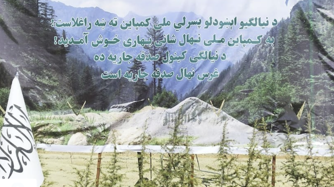کرنې وزارت د نیالګیو کېنولو پسرلنی ملي کمپيان پیل کړ