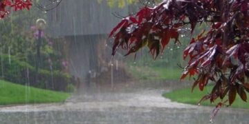 هوا حالات؛ د هیواد په ۹ ولایتونو کې نن د شدیدو بارانونو اټکل شوی