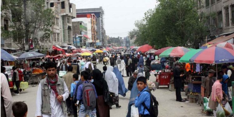 هېواد کې د دست فروشانو لپاره نوې لارښوونې اعلان شوې