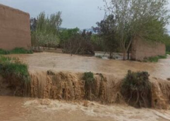 کاپیسا؛ سختو ورښتونو او سېلابونو پراخ مالي او کرنیز زیانونه اړولي