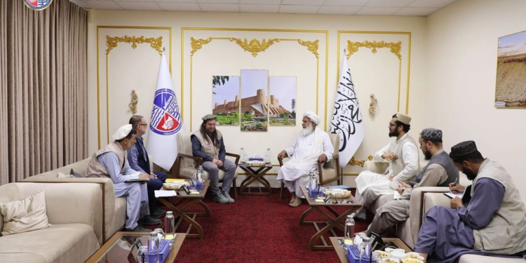 ملا نورالدین ترابي: مرستندویان دې خپلې پروژې د خلکو له اړتیاوو سره برابرې کړي