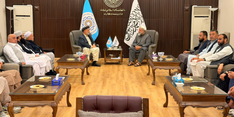 بلخ کې یو شمېر سوداګر وايي، د انجې بیې د پام وړ راټيټېدو اندېښمن کړي یو