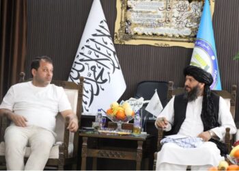 ازبکستاني پلاوي؛ په بامیانو کې د کرنې او پانګونې پر پراختیا ټینګار وکړ