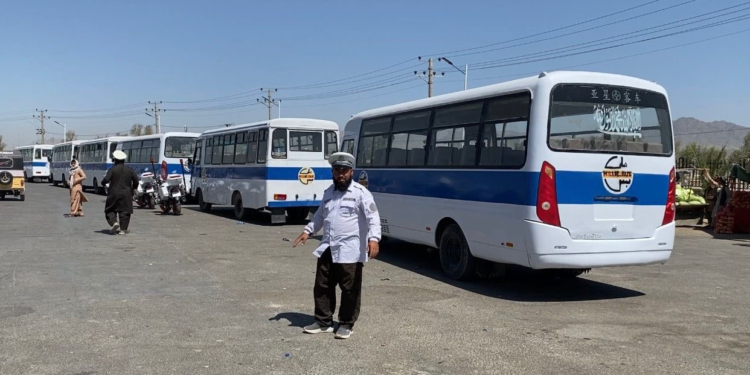 کندهار ښار کې ملي بسونو فعالیت پيل کړ