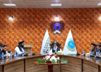 عامې روغتیا وزارت: د خوړو او درملو د قاچاق د مخنیوي قانون د پلي کېدو ۱۱ موارد تایید شول