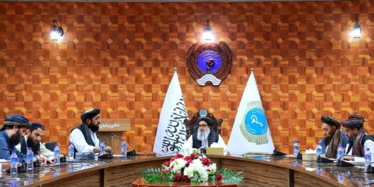عامې روغتیا وزارت: د خوړو او درملو د قاچاق د مخنیوي قانون د پلي کېدو ۱۱ موارد تایید شول