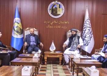 افغان او ترکي چارواکو؛ د ګرځندوی او فرهنګي همکاریو پر پراختیا خبرې کړې