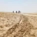 سمنګان کې؛ د صنعتي پارک لپاره ۵۰۰ جریبه ځمکه ځانګړې شوه