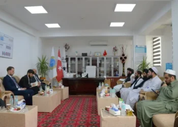 د افغان او ترکي لوري ترمنځ د روغتیايي همکاریو پر پراختیا خبرې شوې