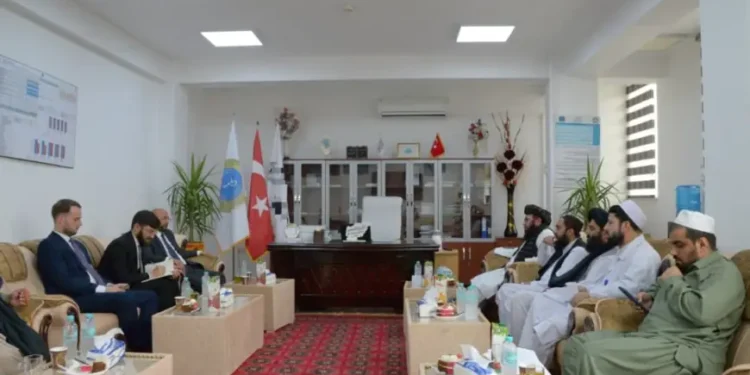 د افغان او ترکي لوري ترمنځ د روغتیايي همکاریو پر پراختیا خبرې شوې
