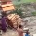 نورستان؛ سختو سېلابونو خلکو ته درانه مالي زیانونه اړولي