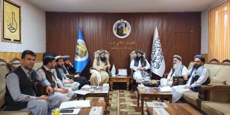 د اطلاعاتو او فرهنګ وزارت مرستیال، د هېوادوالو لپاره د کاري فرصتونو پر برابرولو ټینګار کړی
