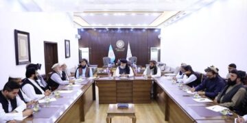 عزیزي: افغانستان د سلګونو کورنیو تولیداتو په برخه کې پر ځان بسیا شوی