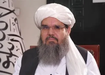 دلاور: ا.ا د دوحې هوکړې له مخې خپلې هوکړې ته ژمن پاتې شوی