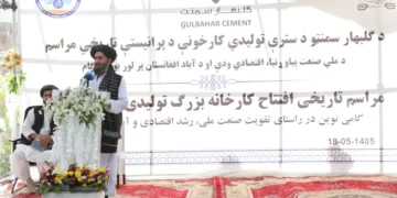 برادر: د پانګوالو د ملاتړ لپاره لازمې استانتیاوې برابرې شوي