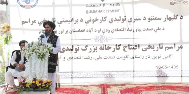 برادر: د پانګوالو د ملاتړ لپاره لازمې استانتیاوې برابرې شوي