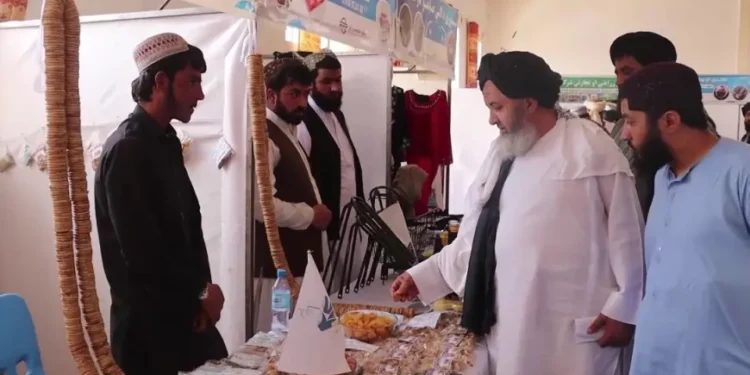 زابل کې د کرنیزو محصولاتو درې ورځنی نندارتون پرانیستل شو