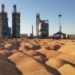 د چين د غلودانو تصديو کلنی صنعتي ارزښت له ۴ ټريليونو يوانو اوښتی