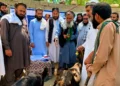 لغمان؛ نږدې ۱۰۰۰ کورنیو ته د کوچنیو کاروبارونو زمینه برابره شوې