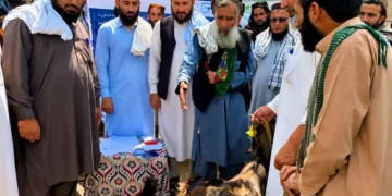 لغمان؛ نږدې ۱۰۰۰ کورنیو ته د کوچنیو کاروبارونو زمینه برابره شوې